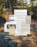 Starseed Studies Mail Club